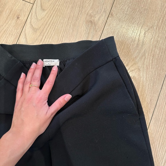 Aritzia Babaton James pants - Picture 4 of 5